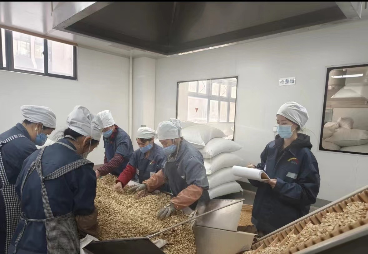 Qingdao BioHoer Biotech Co., Ltd. on virallisesti aloittanut rakentamisen