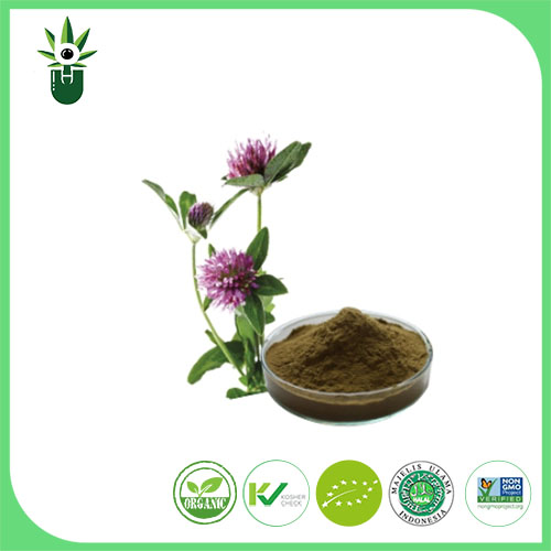 Medicago sativa L -uute