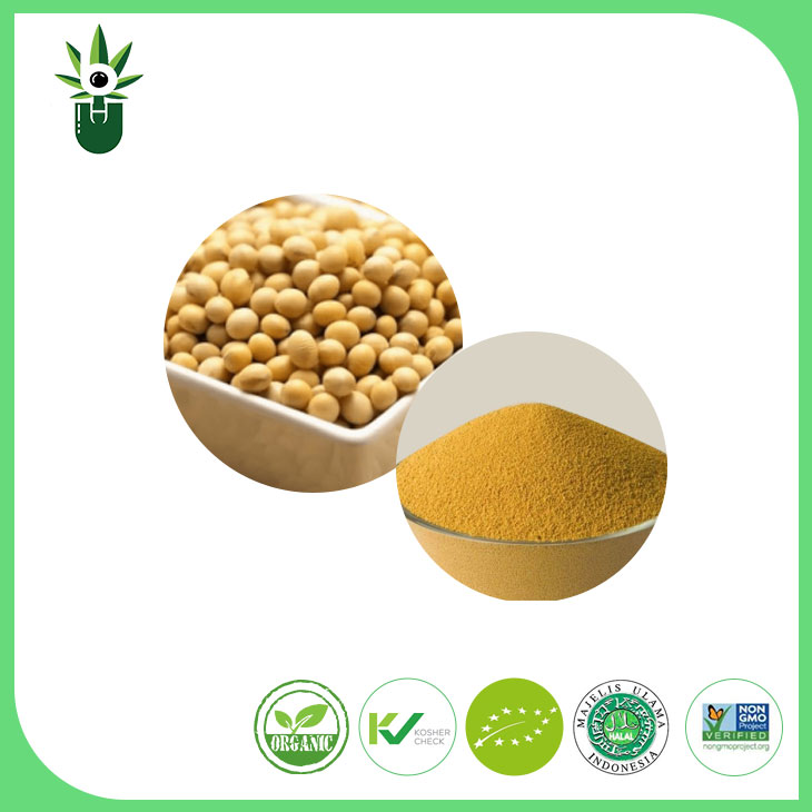Ei-GMO-soijauutteen jauhe 90% soija-isoflavones